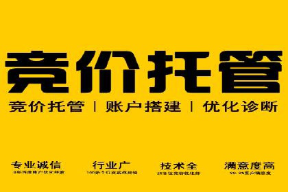 电商巨头的SEM运营托管策略揭秘